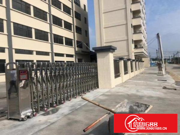 企石原房东全新标准独院厂房出租