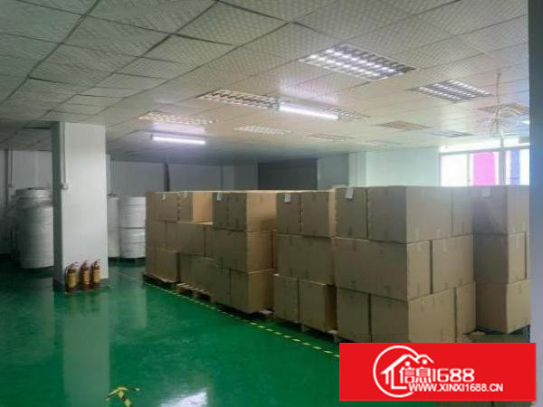 松岗107国道和宝安大道交接处精装修之前做口罩