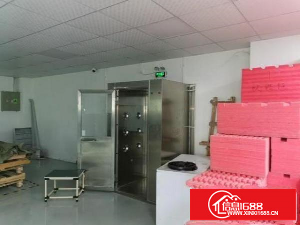 出租部分厂房区域已装修