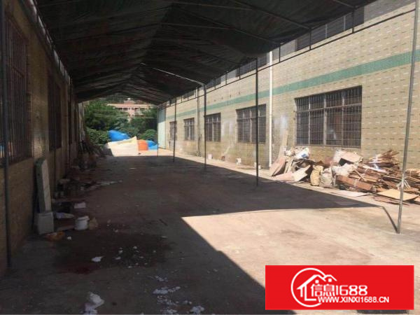 新圩新出可做污染行业厂房7000平方出租可分租