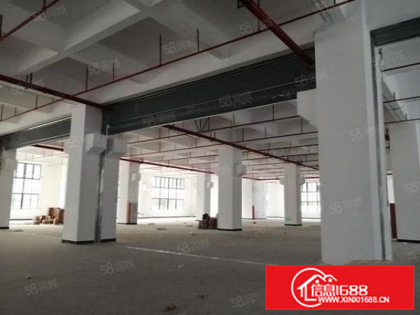 常平全新厂房出租,空地大形象好精装修,水电配套齐全