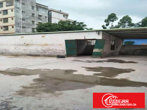 新华大道附近独院厂房4200平出租整租