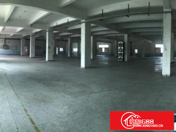 深圳观澜交通方便独院厂房