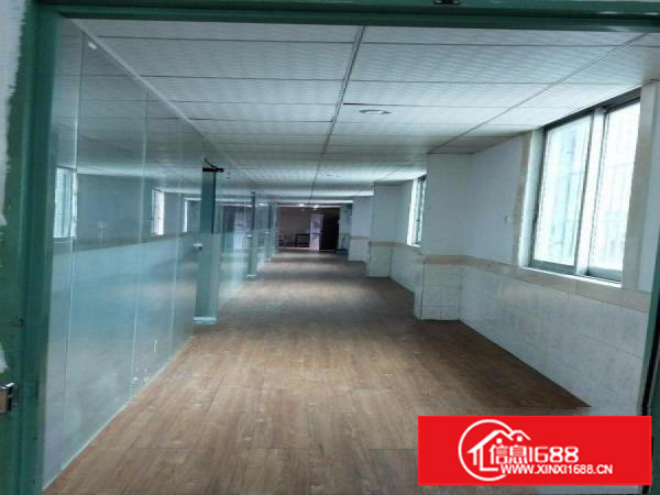 出租龙岗区坂田整层厂房