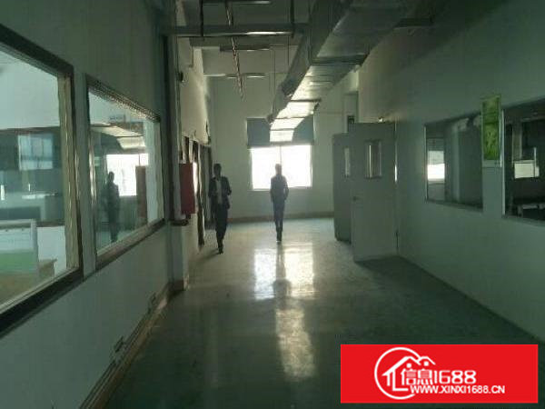 龙岗爱联地铁附近新出2500平带豪华装修厂房出租