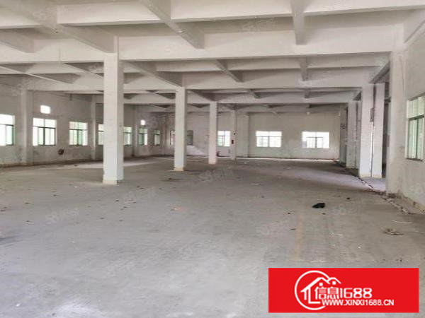 大朗原房东一楼1500平招租,高度6米。工业用地,可办环评!