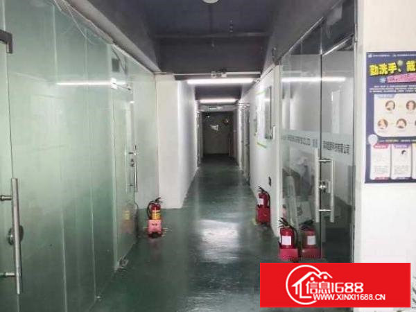 出租坂田260/150/100/50平精装办公室厂房仓库