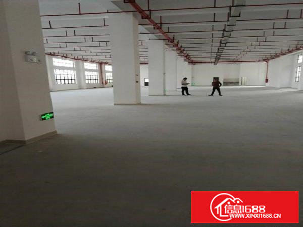 凤岗雁田新出全新科技园30000平方招租
