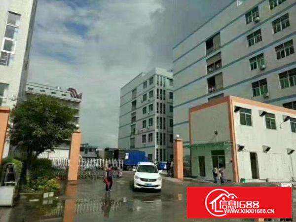 莞长路旁标准厂2楼3050平米