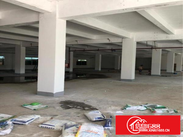 惠阳秋长维布新出原房东6000平一楼层高5米