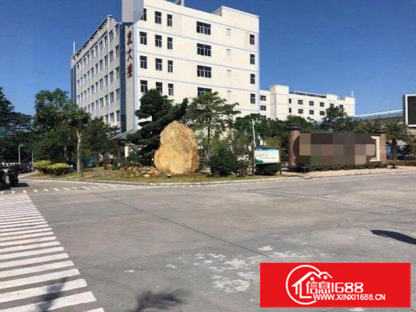 坪山新出一楼1100平方标准喷淋厂房高5.5米出租