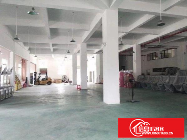 容桂标准1000方，厂房方正漂亮，采光好，交通方便