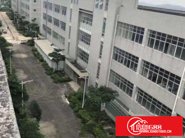 龙岗坪地二楼出租大工业区带消防喷淋现成装修办公室加厂房