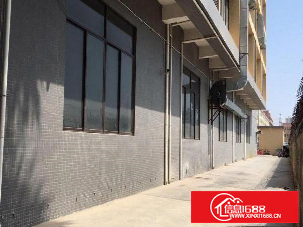 东莞桥头标准一楼厂房！！