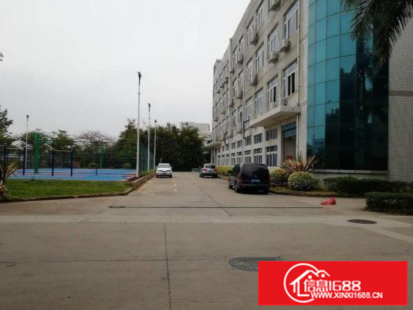 横岗新出标准厂房原房东便宜出租，免中介费