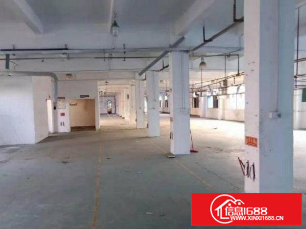 横岗经典独门独院厂房6850平招租可分租