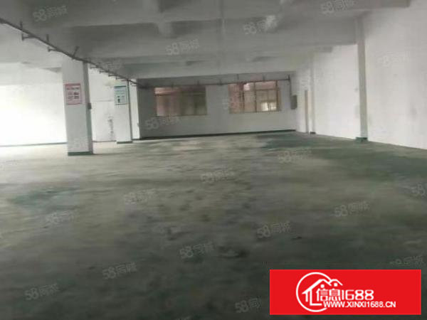 10元，大朗洋乌新出标准厂房980平，现成地坪漆水电齐全