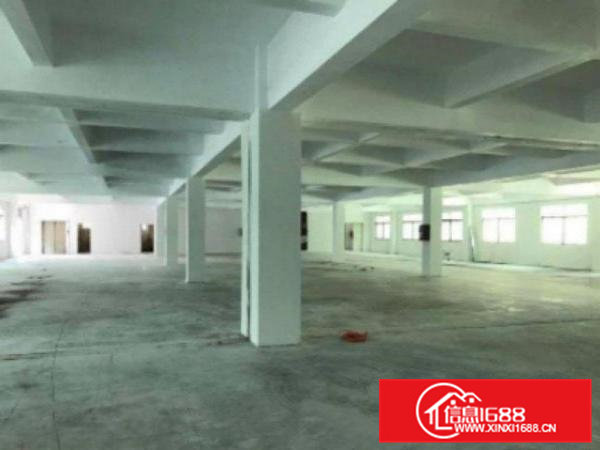 高埗花园式厂房分租一楼1500平方,价格便宜地段好