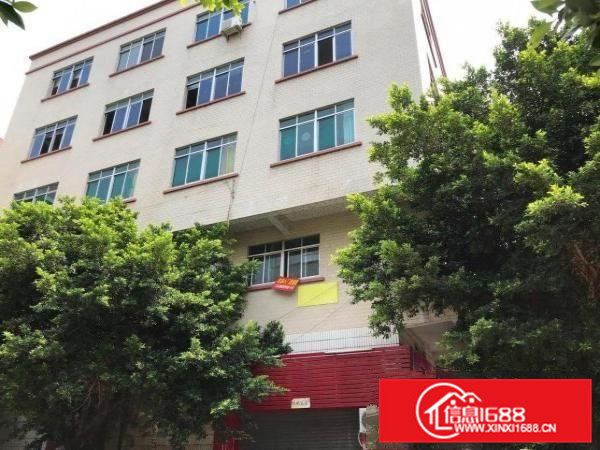 虎门北柵小型加工厂房