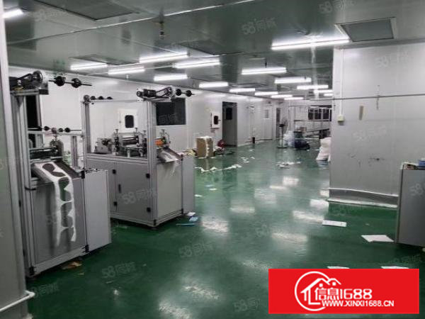 大朗象山工业城原房东红本独院厂房出租，总面积13000平