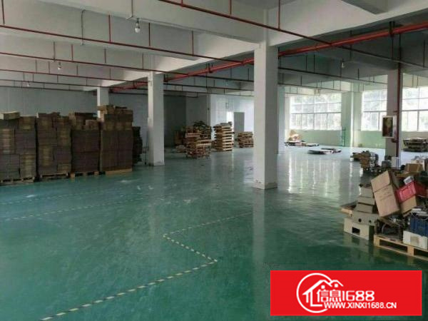 秋长白石2楼一整层2000平厂房带装修有电梯招租