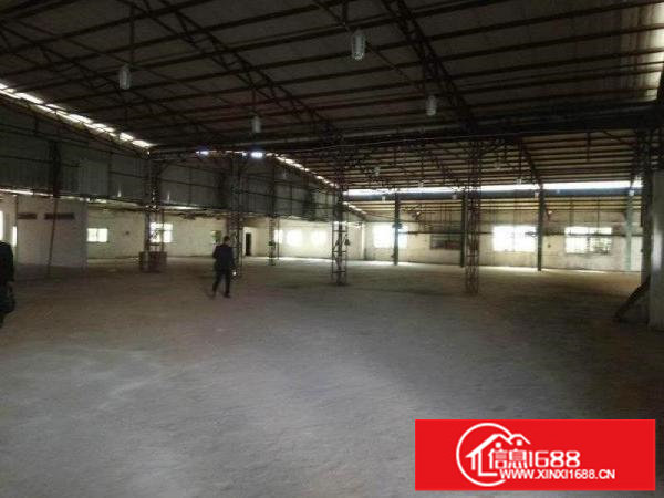 龙岗坪地新出2600平独院钢构厂房滴水高6米