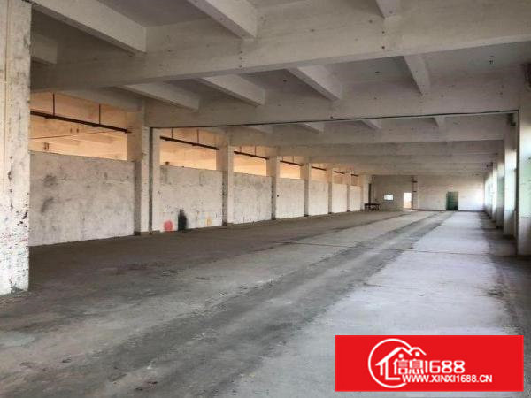 博涌独院标准电梯厂房可分租1000平方