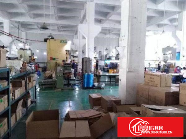 清溪铁松新出一楼带装修1950平米厂房，空地大