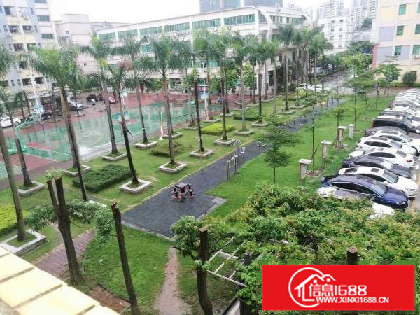 出租布吉康桥外贸电商办公室生产销售库房都OK