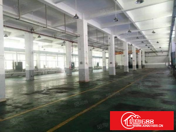 观澜桂花新出6米高1900平方一楼带精装厂房出租可分租