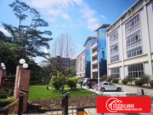 虎门滨海湾新区花园式厂房，免租租6个月，特价招租