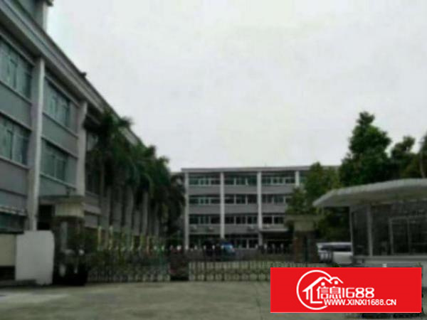 万江1500平米一楼标准厂房出租，水电齐全厂房已经配电200