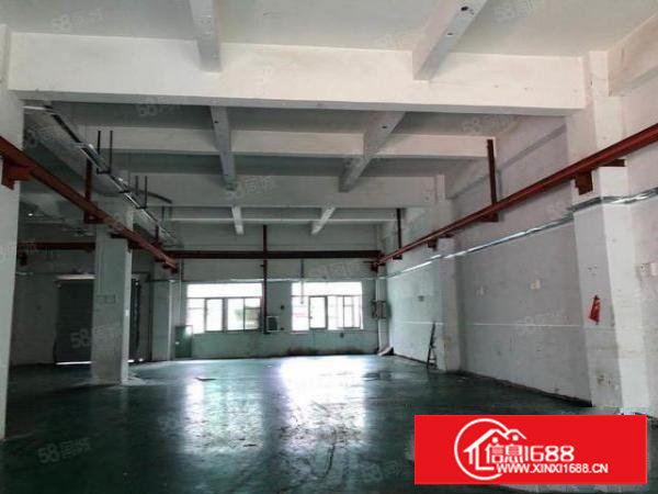 塘厦莆心湖标准厂房一楼600平,小面积便宜租