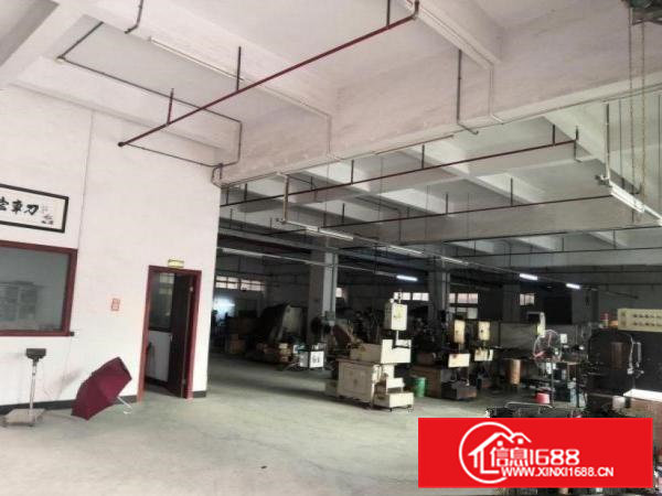 冼沙村原房东出租，1楼1300平5米高带装修水电到位