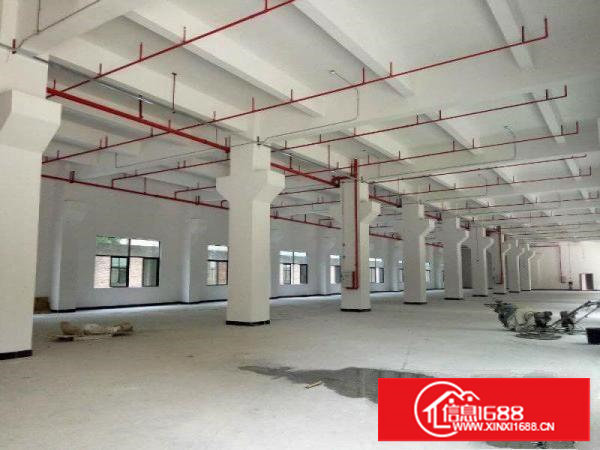 塘厦高速口原房东全新2250平方/层5层带消防电