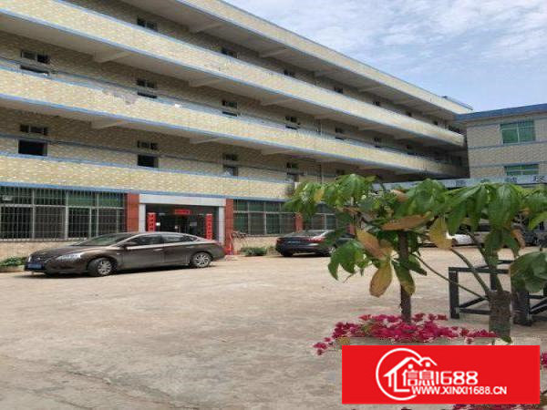 坪山田头独院红本新出2楼900平带装修厂房急租