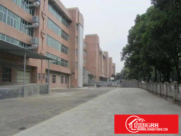 豪华装修办公室大朗黎贝岭广场附近新出二楼3500平