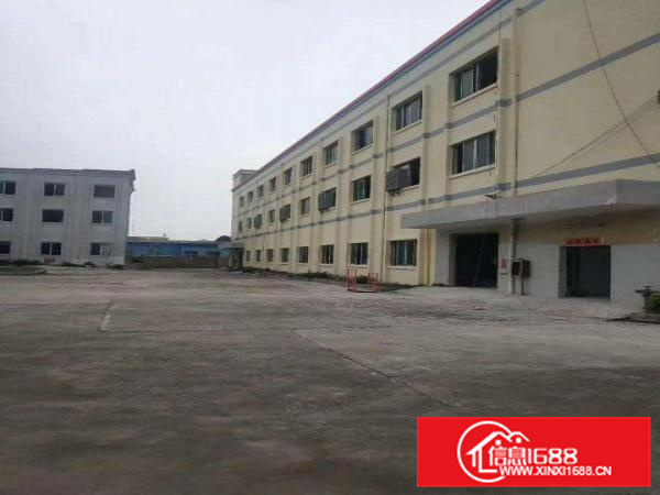 惠州小金口新出红本标准独院厂房6800平方出租