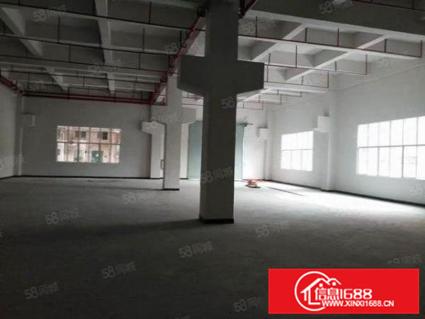 靠近常平新出一楼800平高7m带牛角，适合各种行业，交通方便