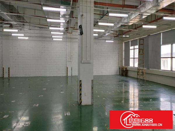 新天下华赛工业园厂房业主直租