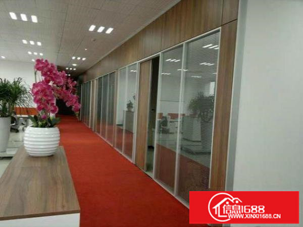 坂田布龙路边高新科技园1000平方精装修招租