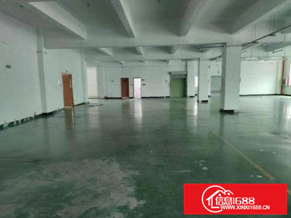 出租常平镇金美新出原房东3楼带装修2680平标准厂房