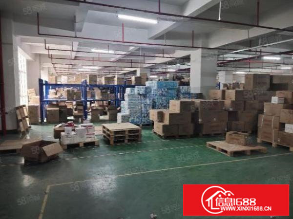 大浪原房东工业园厂房出租一楼厂房2300平可分租300平起租