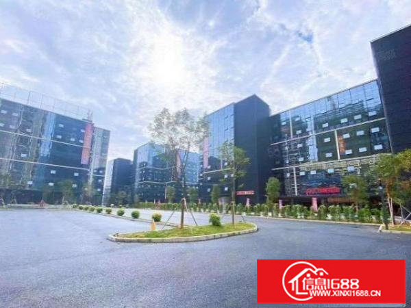 坂田CBD双地铁口整栋2.7万平适合电商办公等大型企业总部