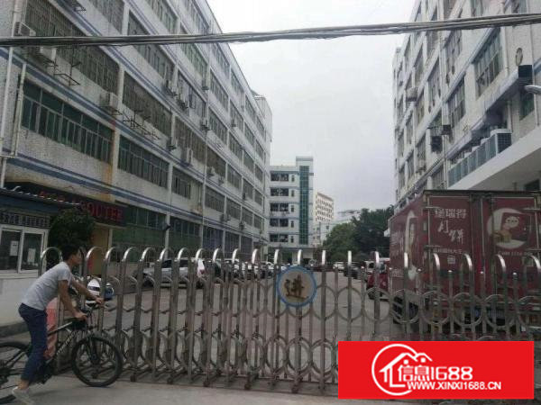 横岗228工业区一楼800平方，楼上1300平可分