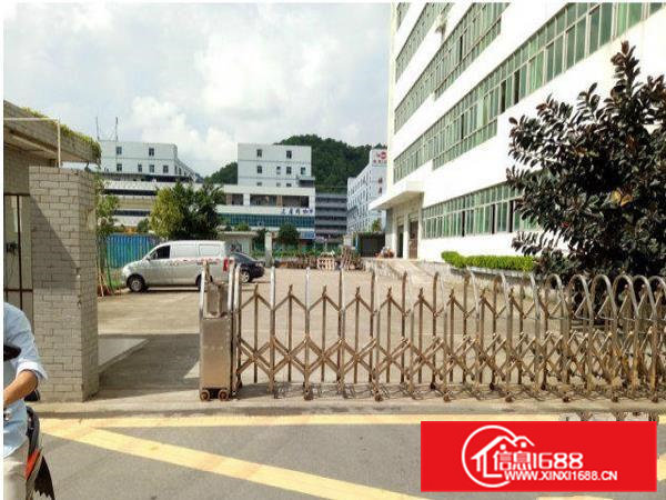 常平卢屋一楼原房东厂房900平带牛角出租