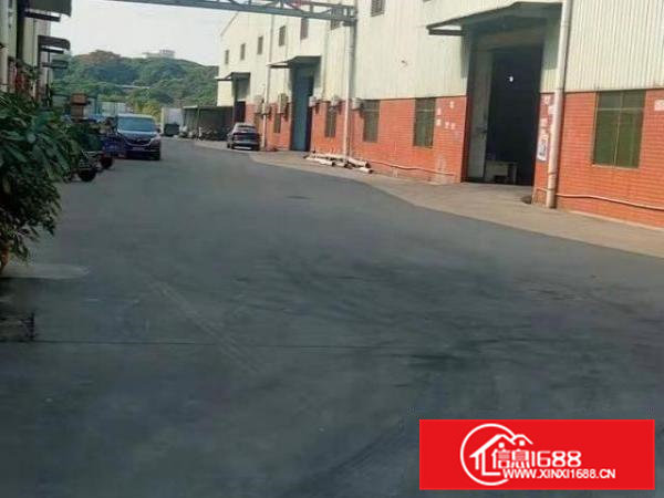 稀缺资源虎门怀德单一层钢构