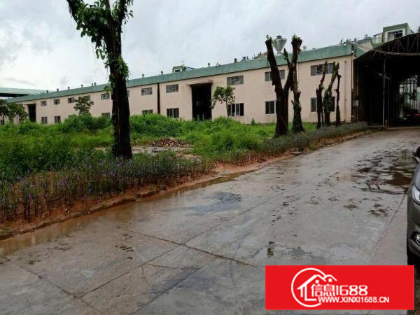 出租大岭山107国道边4万平方独院厂房