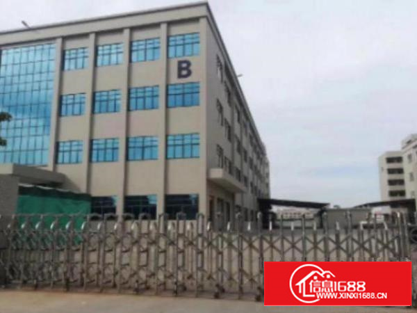 高埗独院标准厂房16000平方出租配2部三吨货梯，宿舍一栋3