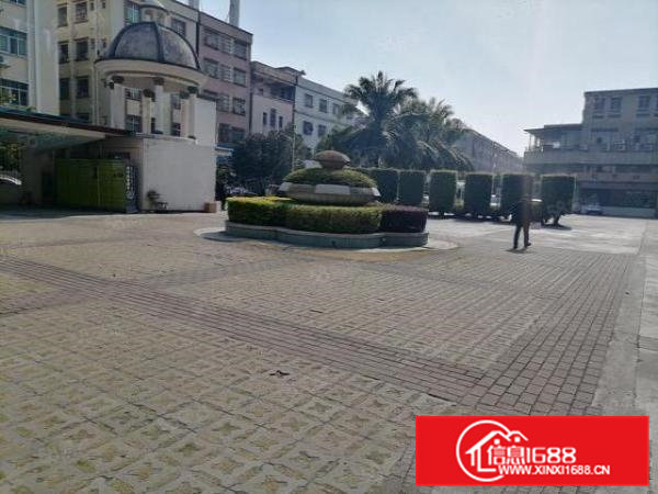 寮步镇花园式厂房新空出一楼1000平方出租（价格好谈）